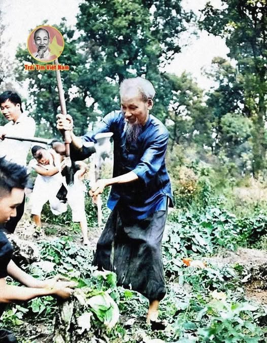 NHỮNG ĐIỀU BÌNH DỊ