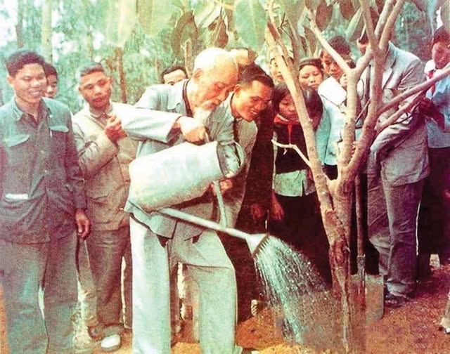 VÌ LỢI ÍCH TRĂM NĂM TRỒNG NGƯỜI 