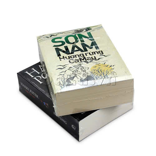 SƠN NAM VÀ DẤU ẤN CÁCH MẠNG TRONG VĂN CHƯƠNG