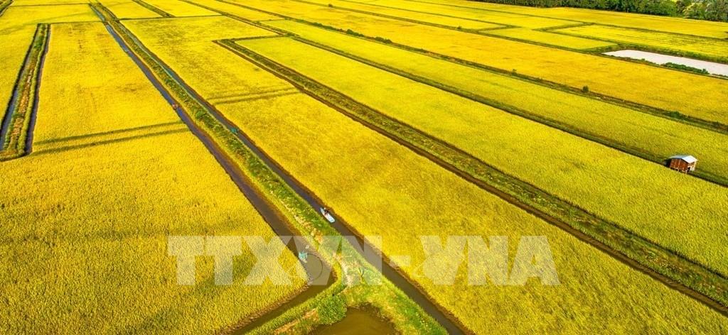 Đại hội XIV của Đảng: Nền tảng mới cho động lực tăng trưởng xanh 