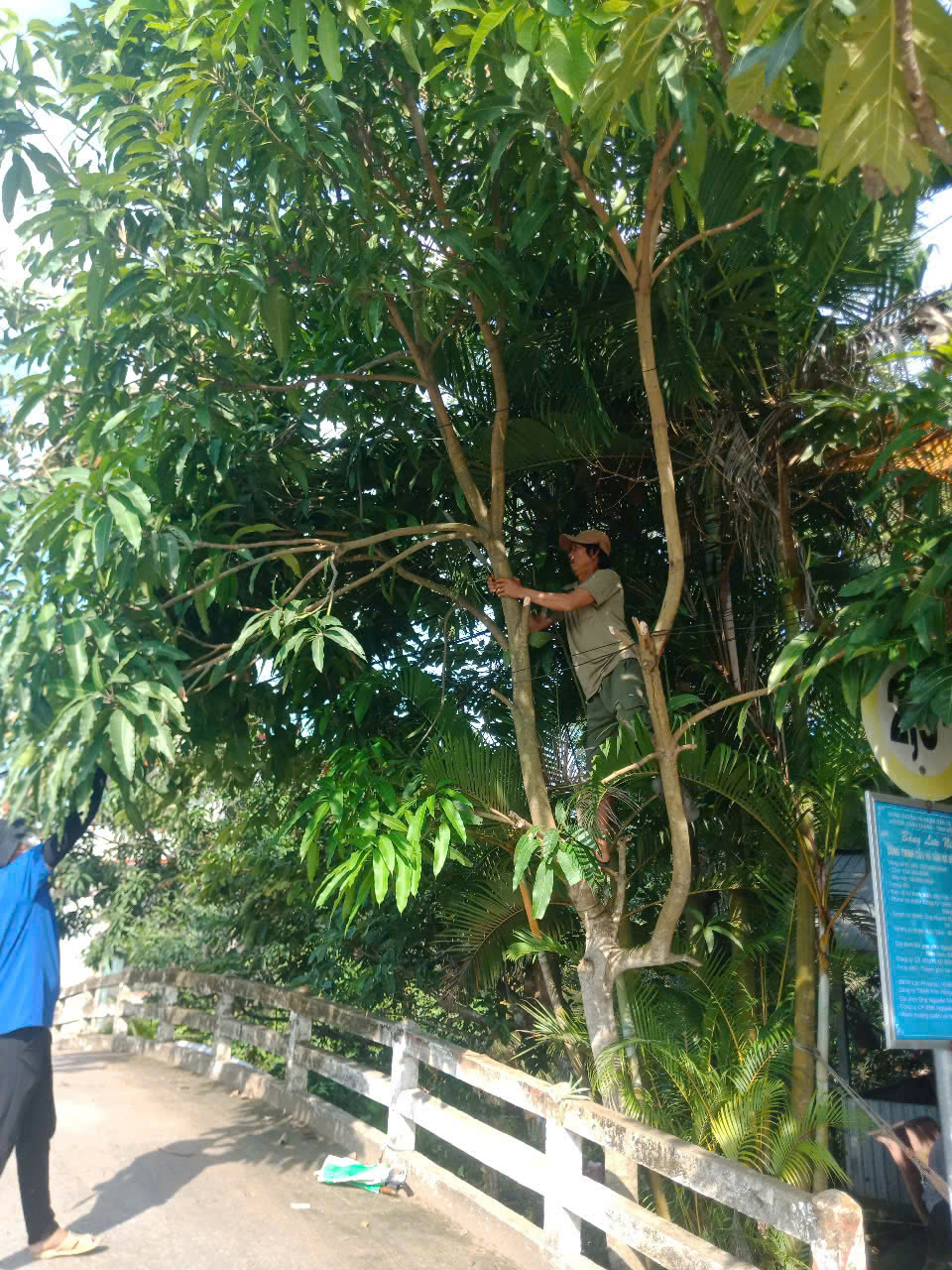 XÂY DỰNG CÔNG TRÌNH NÔNG THÔN CỦA NGƯỜI LÍNH TRẺ