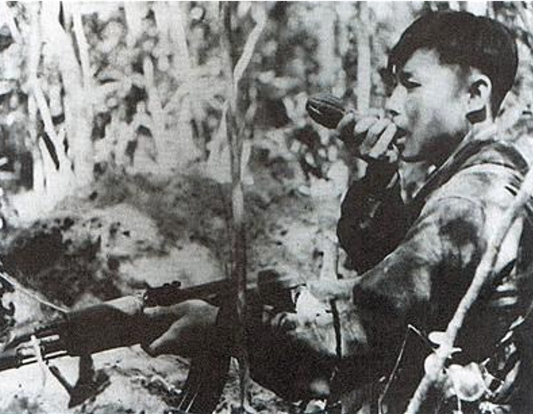 Chiến dịch Ba Gia
