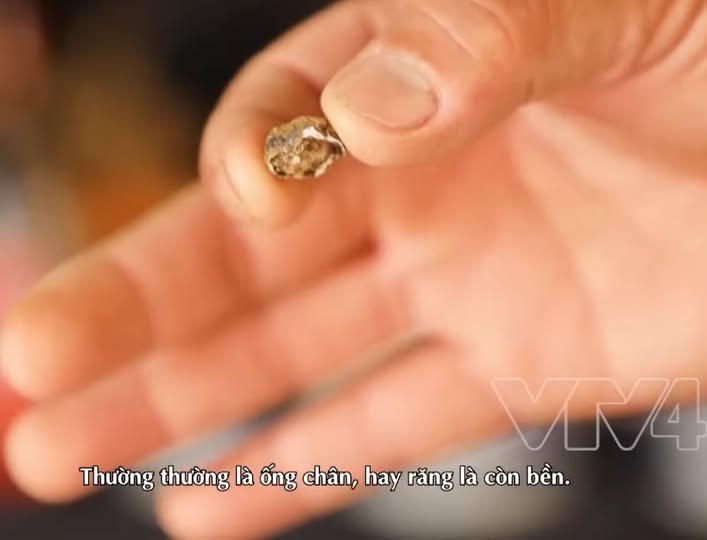 CHIẾC RĂNG CỦA LIỆT SĨ THÀNH CỔ QUẢNG TRỊ 