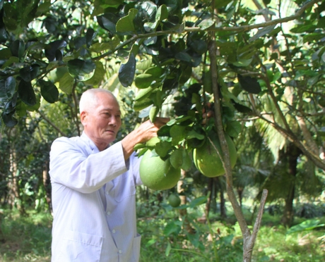 NGÔ NGỌC BỈNH - ANH HÙNG LAO ĐỘNG THỜI KỲ ĐỔI MỚI
