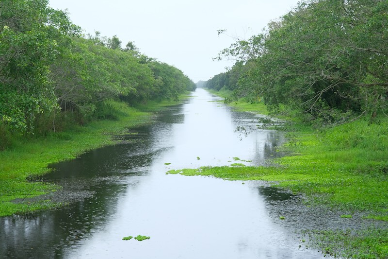 Đại tá - Anh hùng lao động Bành Văn Đởm kể về những năm tháng ở rừng.