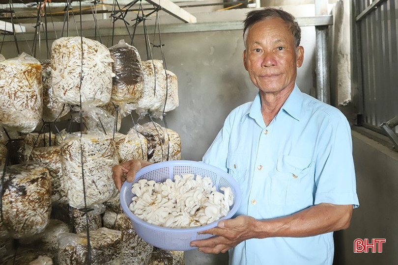 Dòng Sông Ký Ức (3)
