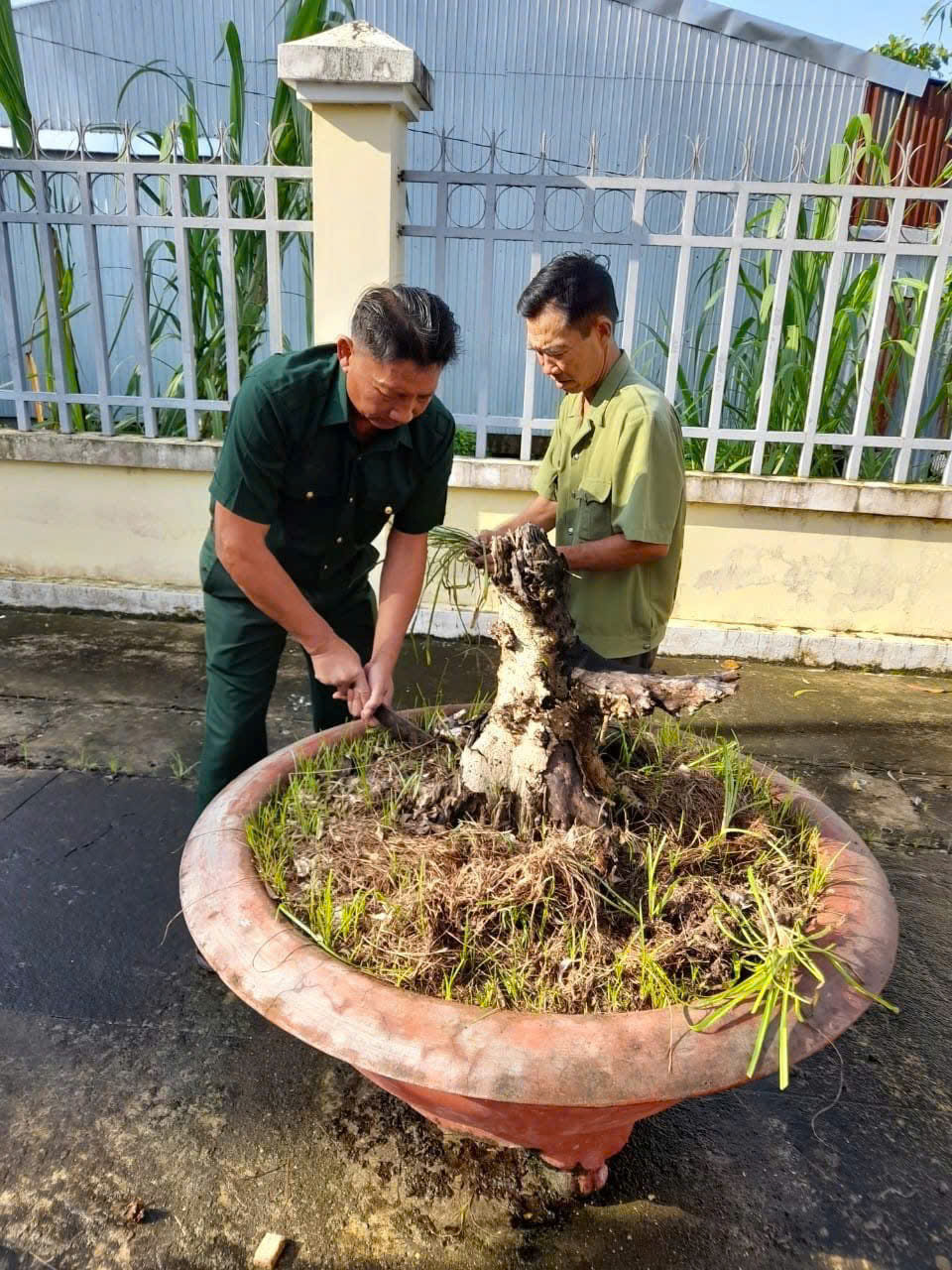 cau chuyen lich su so 93