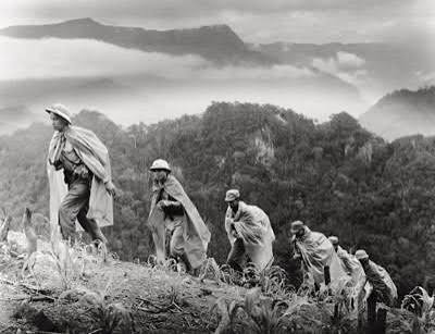 Hành trình qua những cánh rừng