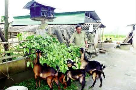 Câu chuyện 507