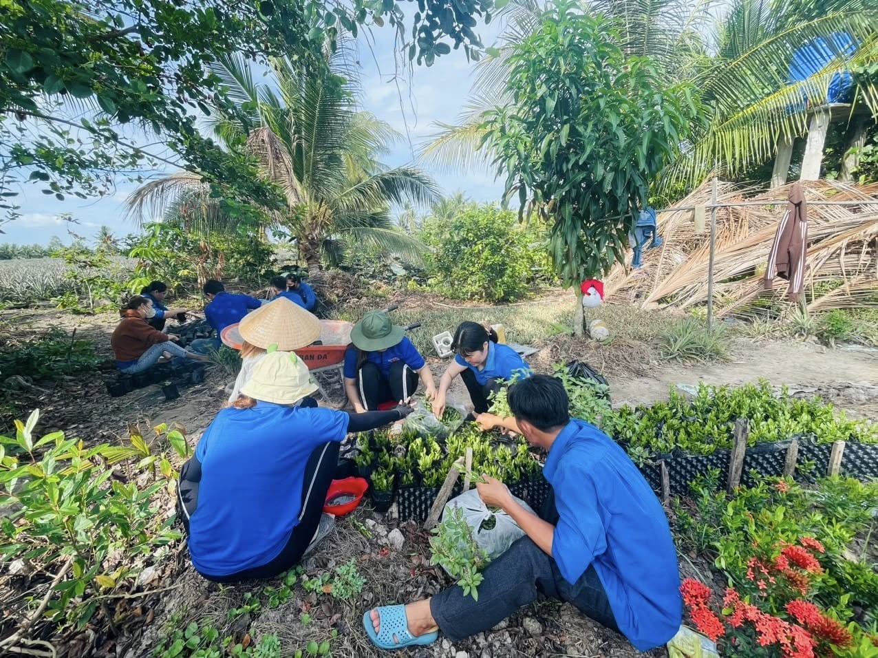 THANH NIÊN THAM GIA XÂY DỰNG NÔNG THÔN MỚI
