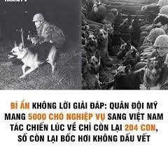 BÍ ẨN VẪN CHƯA CÓ LỜI GIẢI