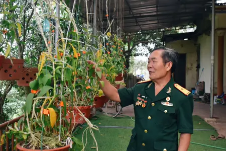 Ký ức thời hoa lửa