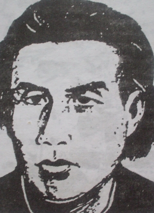 Bình Tây Đại Nguyên Soái