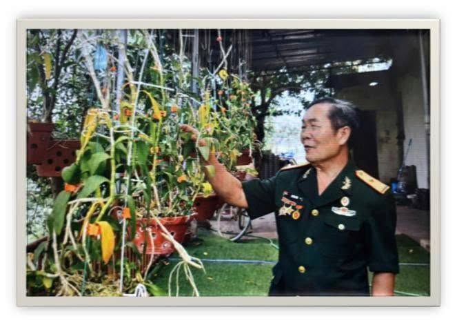 XẺ DỌC TRƯỜNG SƠN ĐI CỨU NƯỚC