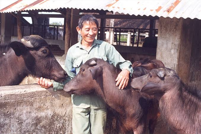 Anh hùng Lao động Hồ Giáo – Người dành trọn cuộc đời cho đàn gia súc và sự nghiệp phát triển ngành chăn nuôi Việt Nam
