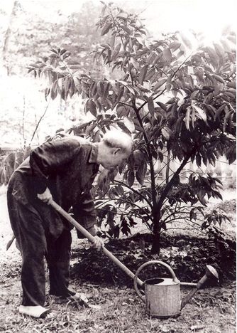câu chuyện lịch sử