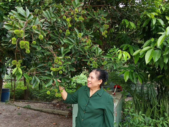 Ký ức xanh thời hoa lửa