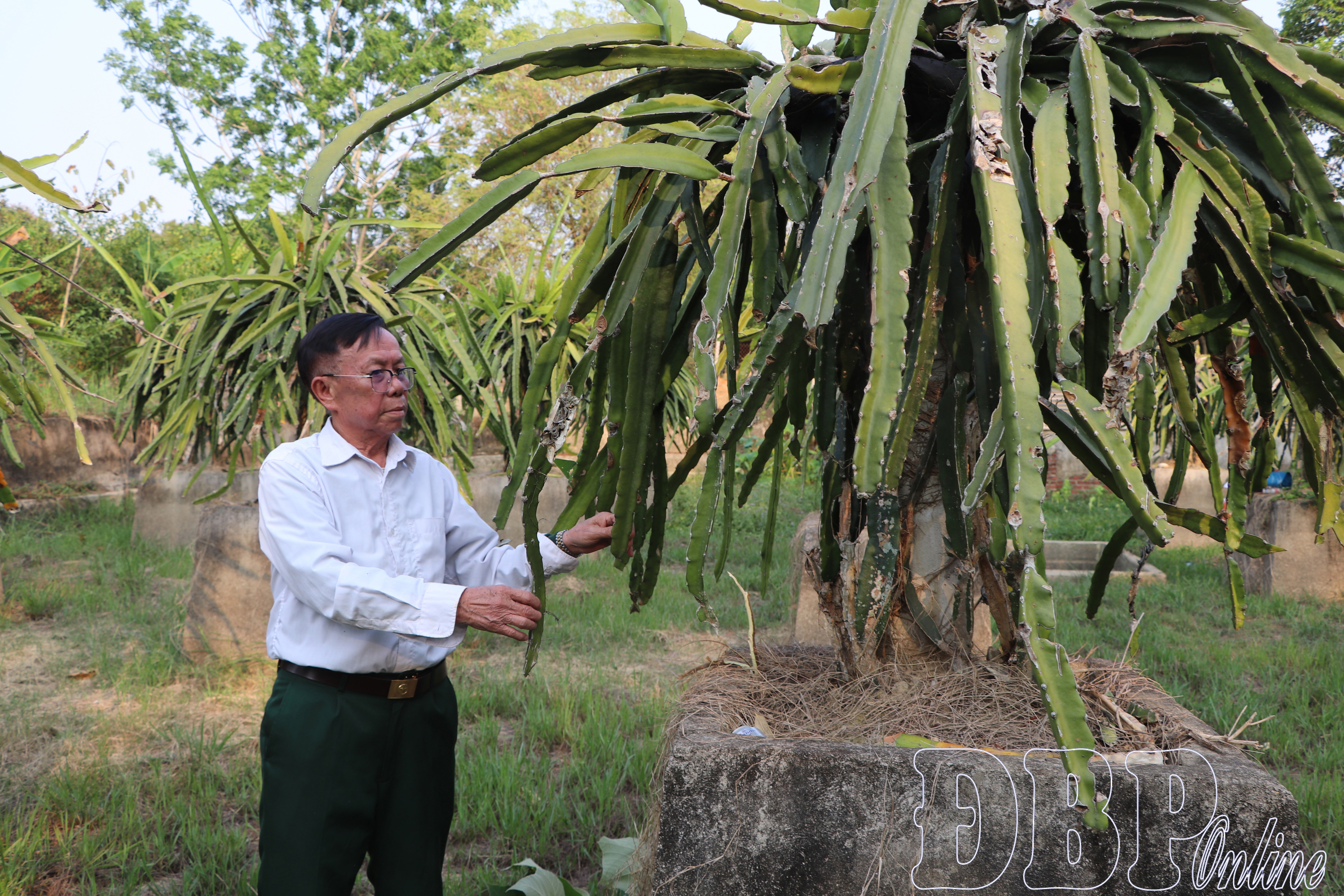 Cựu chiến binh Lò Văn Him: Từ Tây Nguyên đến biên giới phía Bắc và vườn nhà