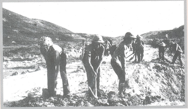 tb227-15-20-46.png