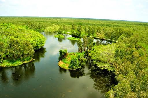Khu căn cứ cách mạng U Minh Thượng