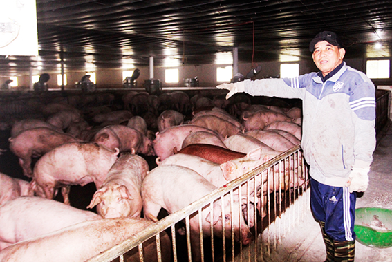 Lê Quang Dưỡng - CCB Sản xuất giỏi