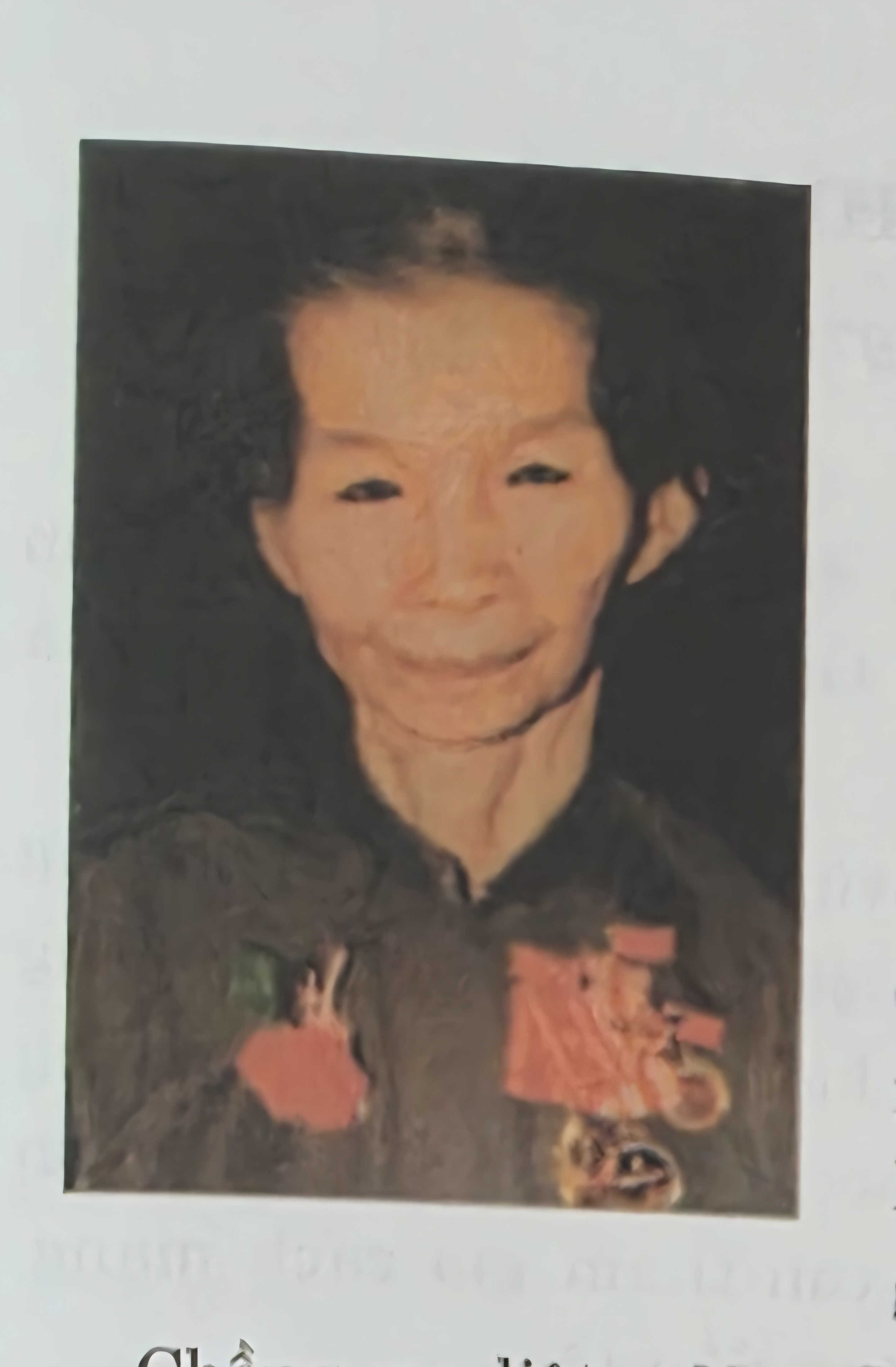 MẸ VIỆT NAM ANH HÙNG LÊ THỊ CHỈ