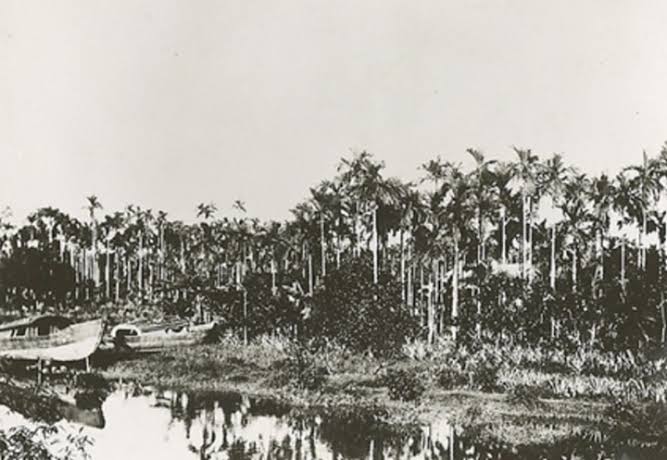Nguyễn Văn Quá (Tổng Quá): Vị thầy võ yêu nước và khí phách anh hùng 18 Thôn Vườn Trầu