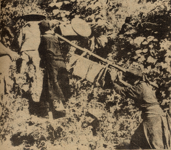 câu chuyện lịch sử 145