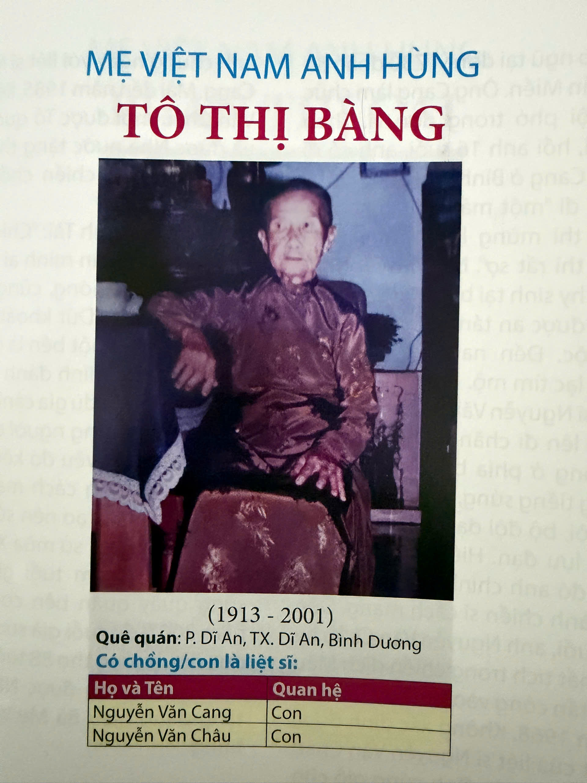 MẸ VIỆT NAM ANH HÙNG TÔ THỊ BÀNG