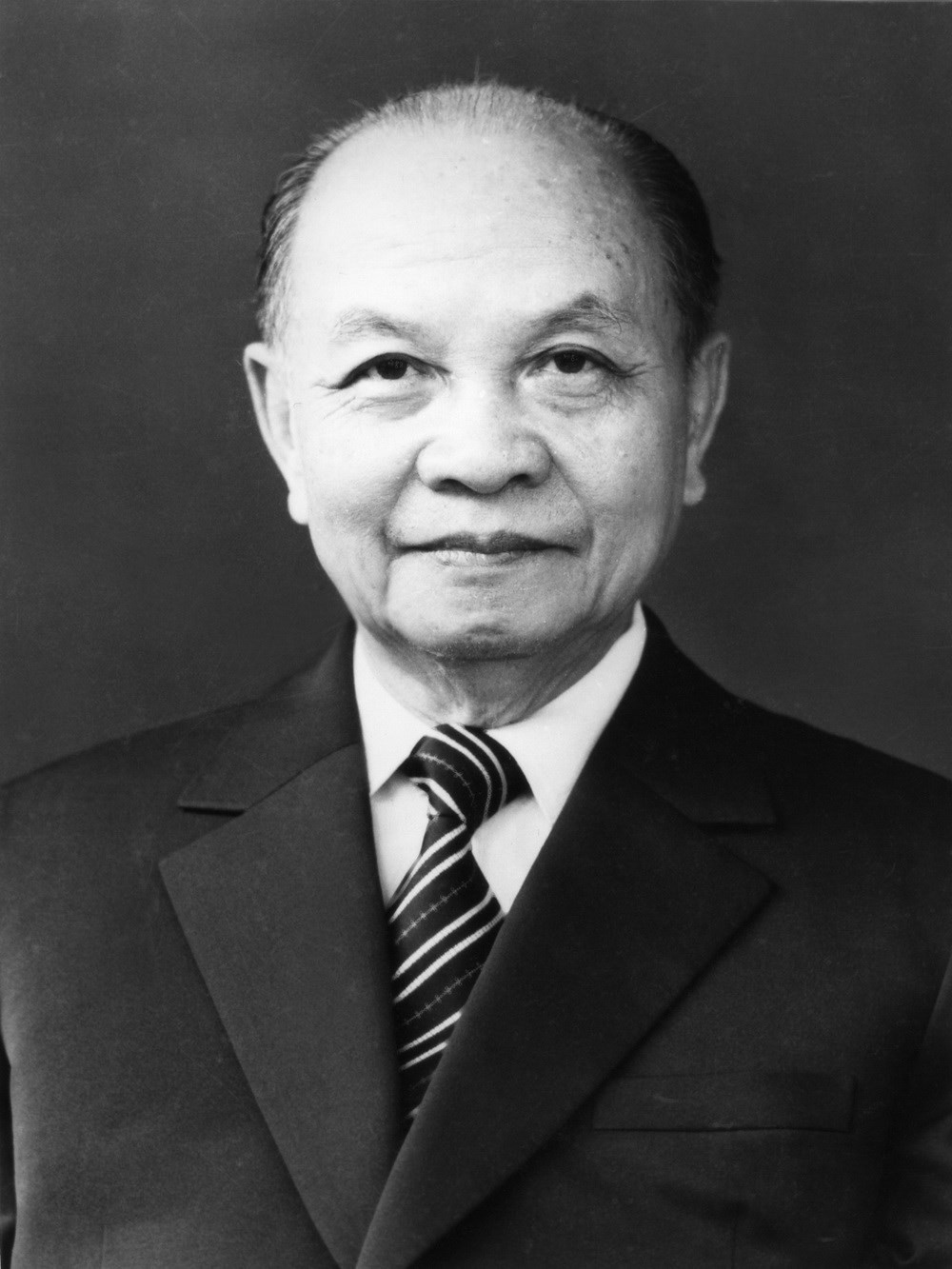 Tổng Bí Thư Trường Chinh