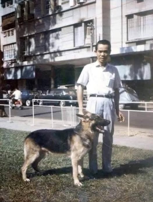 MỘT ĐIỆP VIÊN HOÀN HẢO