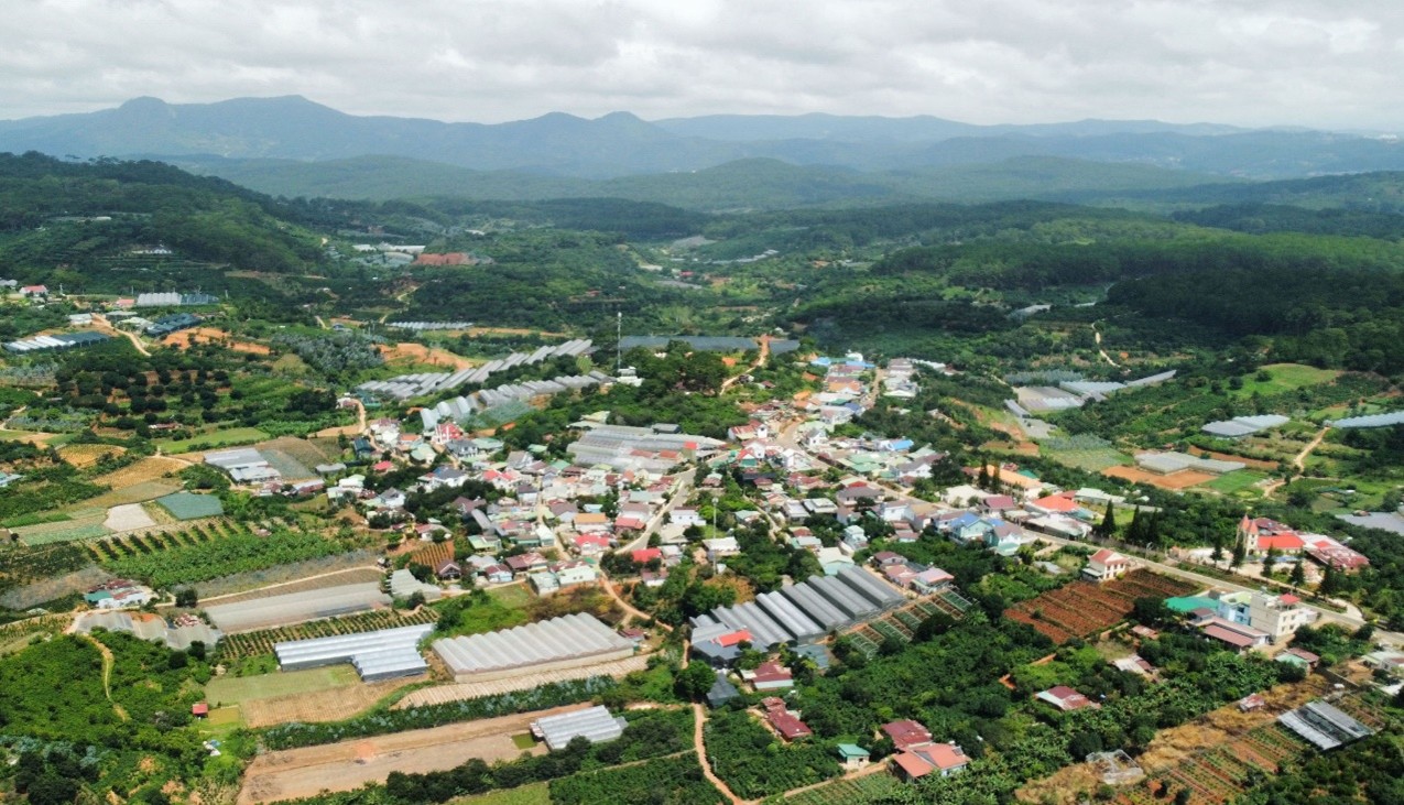 Picture2.jpg