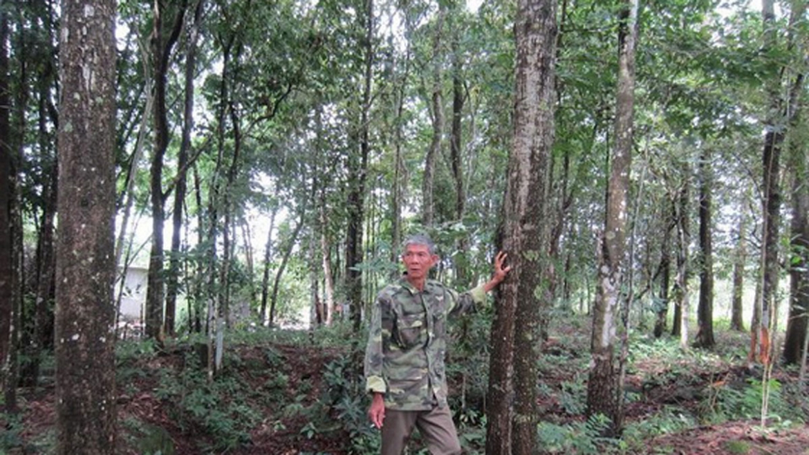 Giữa thời bình, người Anh hùng tiên phong hiến “đất vàng” mở đường