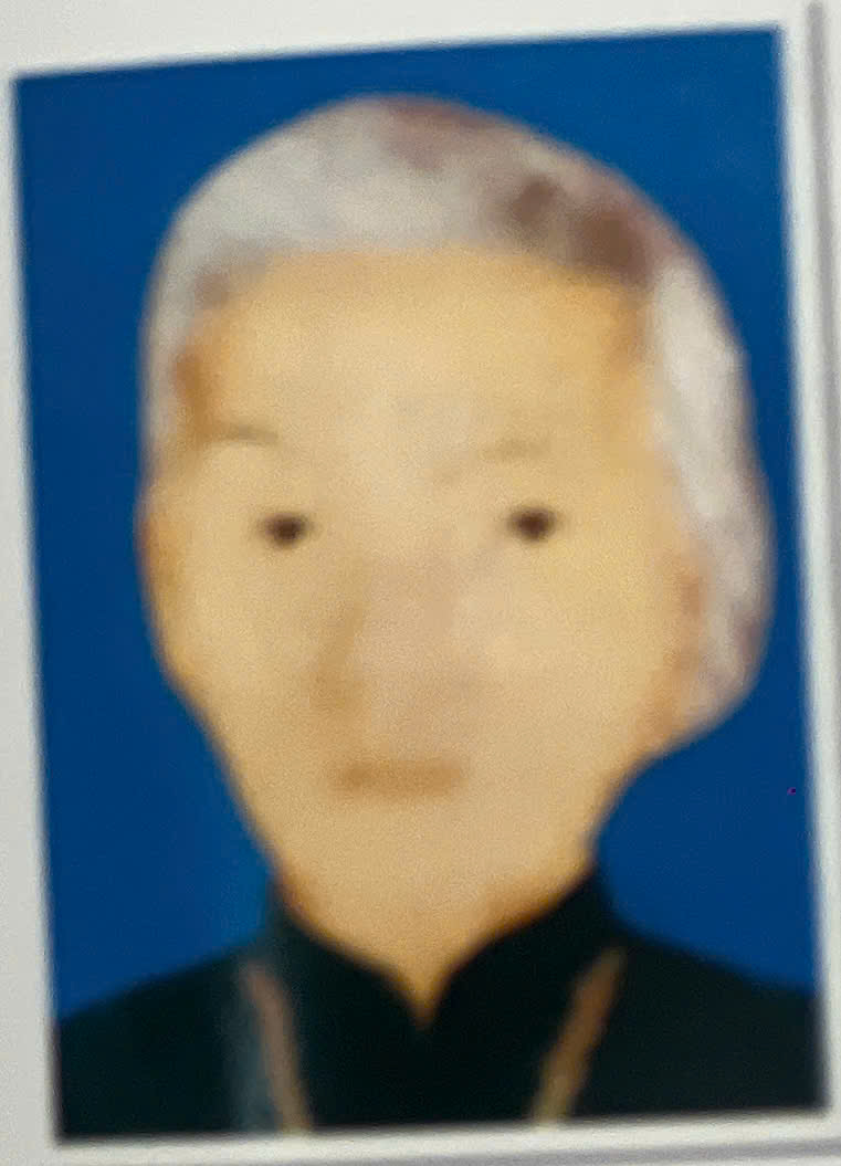 Ngày đất nước hòa bình, thống nhất, giữa sự mừng vui của mọi người, mẹ rơm rớm nước mắt: “Các con ơi, hãy về vui với mẹ, vui với bà con”