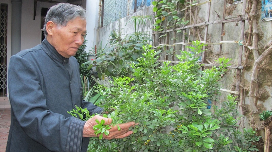 “Từ mẫu” trong chiến dịch Điện Biên Phủ