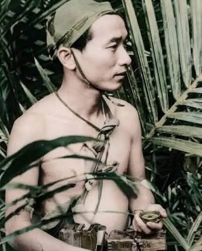 Bông lau trắng – Biểu tượng của lòng biết ơn và ký ức người lính