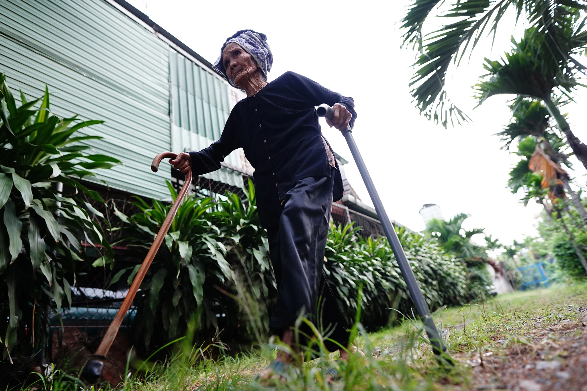 MẸ VIỆT NAM ANH HÙNG PHAN THỊ CAI – NGƯỜI MẸ KIÊN TRUNG GIỮA HAI CUỘC KHÁNG CHIẾN