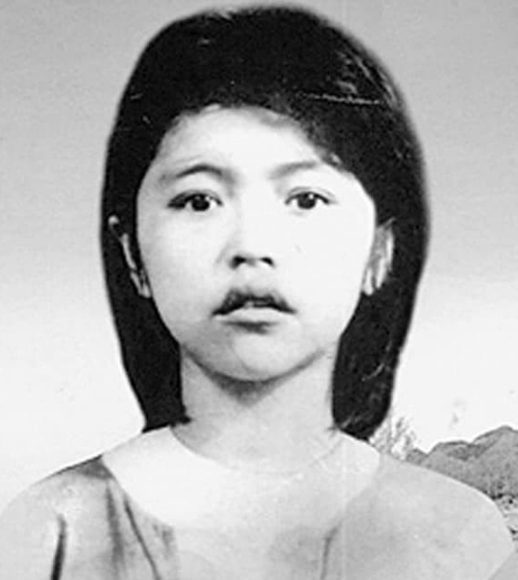 Mẹ Việt Nam anh hùng
