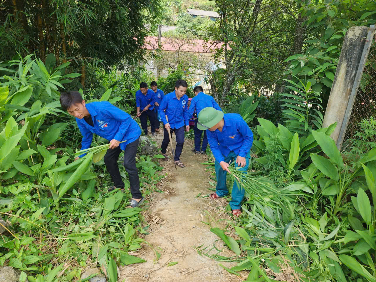Thanh niên tình nguyện