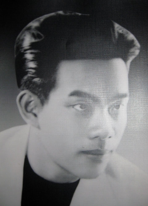 SỰ TÍCH CÀNH ĐÀO XUÂN ĐINH HỢI 1947