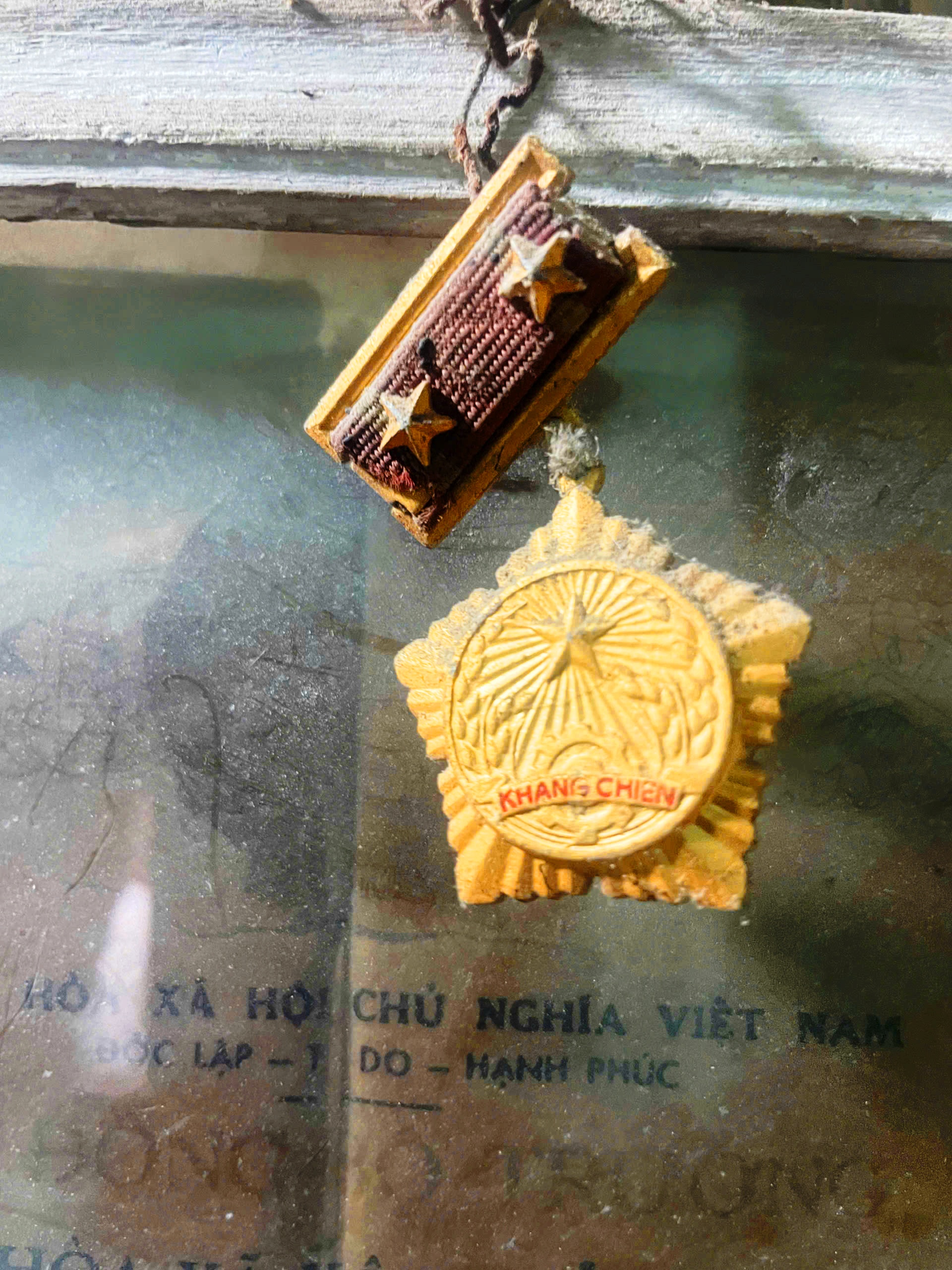 CÁNH CHIM VIỆT TRỞ VỀ