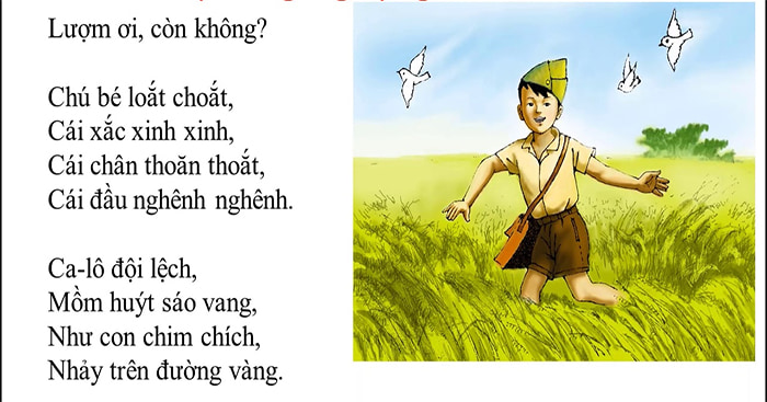LƯỢM – BÔNG HOA NHỎ GIỮA MÙA HOA LỬA