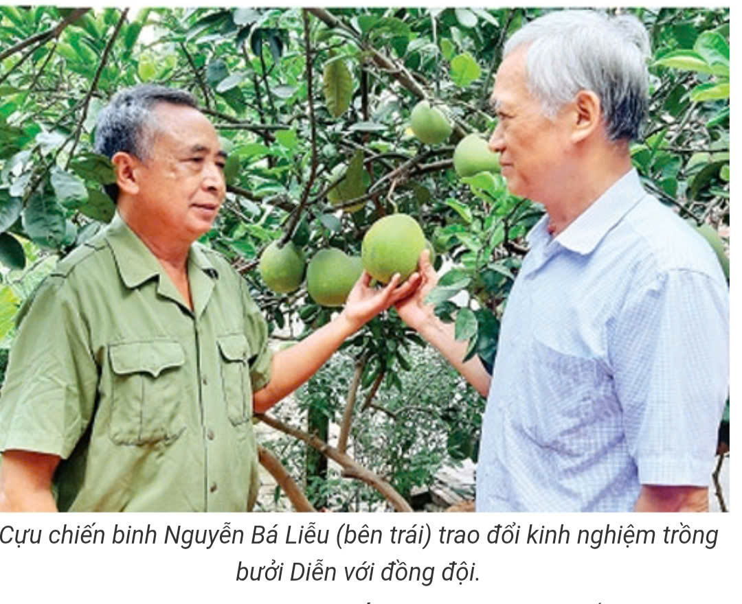 Mưa hồi sinh trên Điểm cao 601