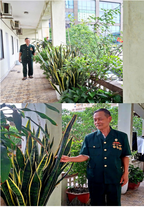 Một thời hoa lửa