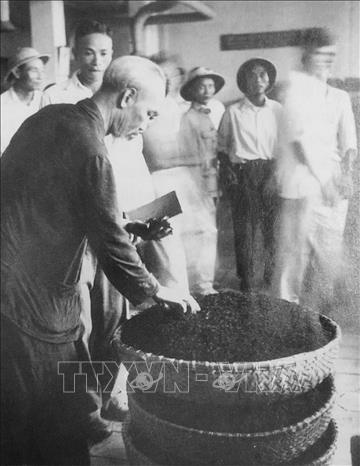 Ngày 20/7/1958, Bác Hồ thăm Nhà máy chè Phú Thọ