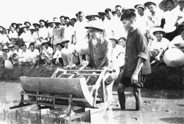 câu chuyện lịch sử 203