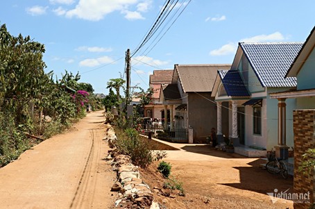 Picture2.jpg