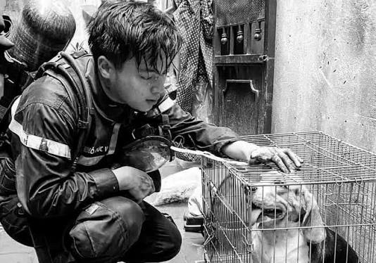 Người Lính Trẻ Đi Vào Biển Lửa