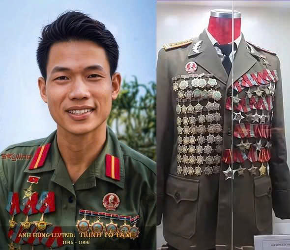 Con Hùm xám đèo Hải Vân