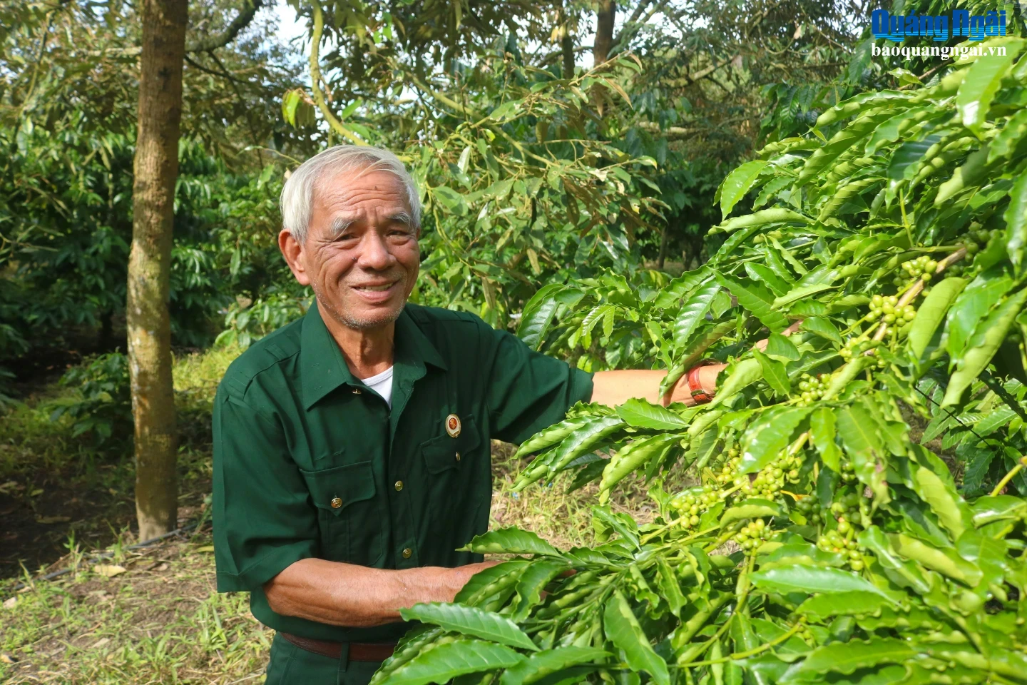 Trần Lê Quế-Cựu chiến binh làm giàu